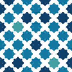 FR ART 30025